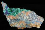 Malachite with Azurite Crystal Specimen - Morocco #60736-1